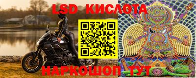 PSILOCYBIN Нарткала